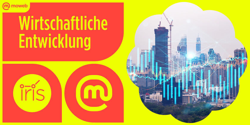 Studie von moweb research mit dem globalen Forschungsnetzwerk IRIS: 
Der &raquo;Economic Confidence Report&laquo; zeigt die pers&ouml;nlichen Einsch&auml;tzungen zur Wirtschaftslage, von der privaten Haushaltsebene bis zur globalen Perspektive.
