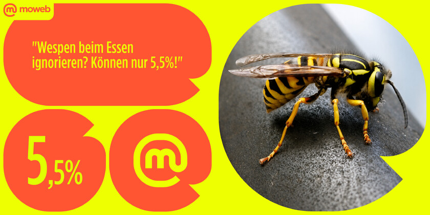 Zahl der Woche #71